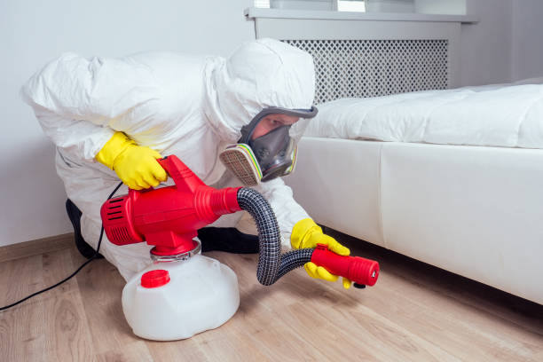 Pest Control for Hotels in Haughton, LA